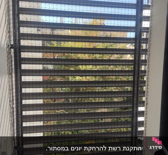 רשת למניעת כניסת יונים על חלון מרפסת